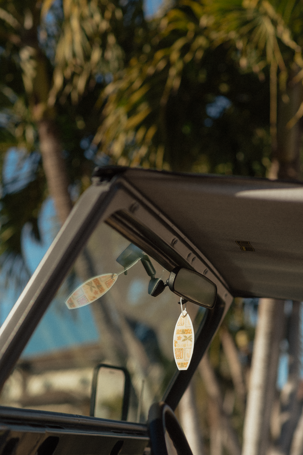 Sundipped Freshie